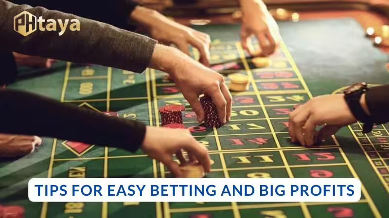 Tips for easy betting and big profits
